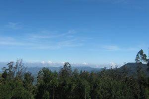 Doddabetta Resort Ooty Kültér fotó